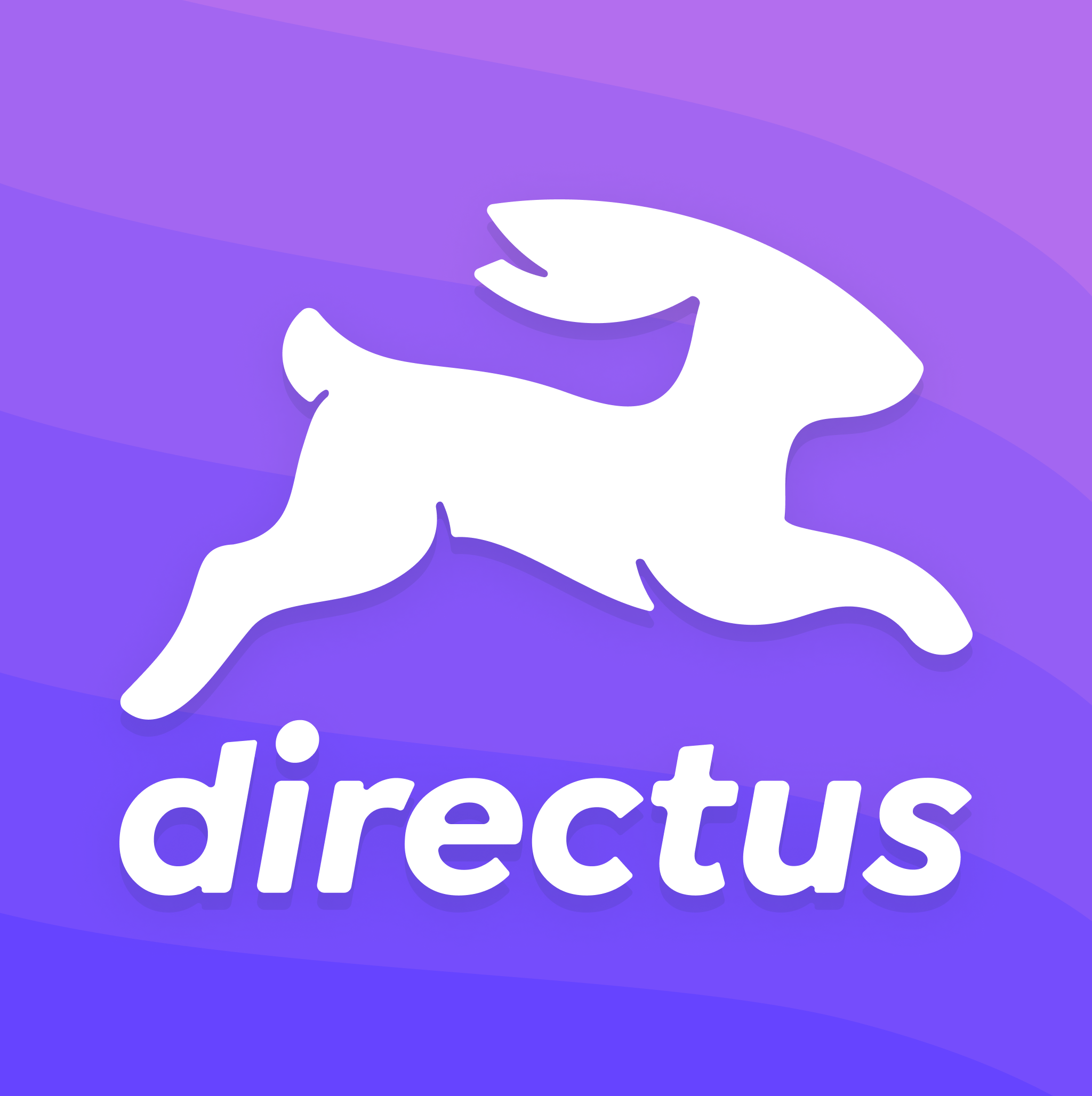 Directus + MySQL + Redis